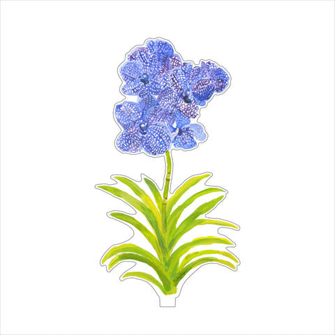 Vanda Orchid Large Acrylic Flower