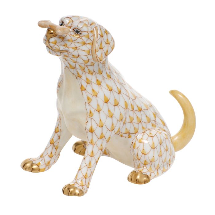 Max With Bone-Butterscotch