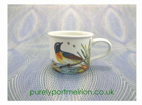 Birds of Britain Drum Flat Cup & Saucer