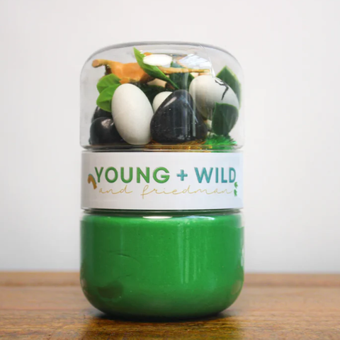 Dinosaur Grab & Go Sensory Dough Jar