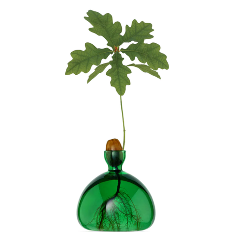 Emerald Green Acorn Vase