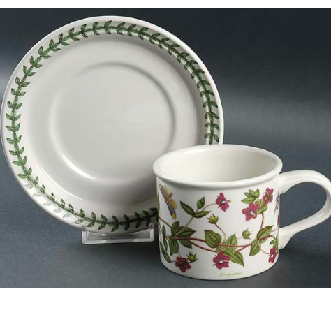 Botanic Garden Cup and Saucer - Pimpernel