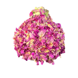 Rose Petal Revelation Waxed Amaryllis Bulb