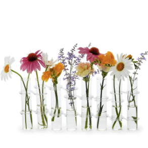 Set of 8 Hinged Tube Flower Vases / Arranger in Gift Box Includes 8 Tubes and 16 Connectors - Glass/Acrylic