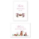 Woodland Pink Milestone Cards