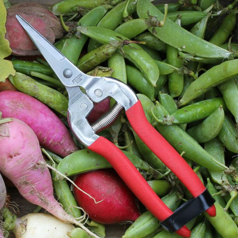 Compact Pruning Shears