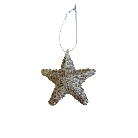 Silver Glitter Star Ornament