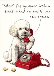 Treat Crime Card