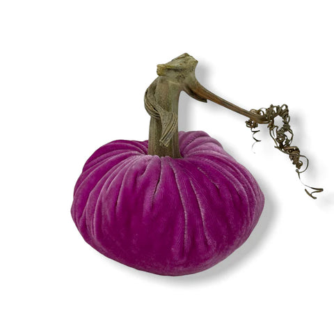 Violet Pumpkin