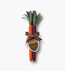 Tricolor Carrots Bunch of Pens
