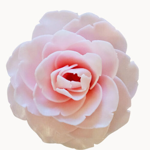 Day in Paris Peony-Petite