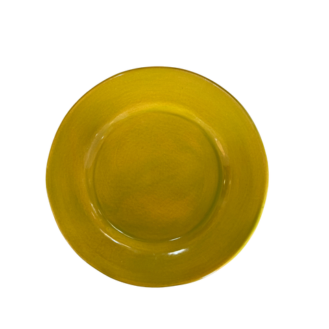 Pottery 11" Dinner Plate- Squash