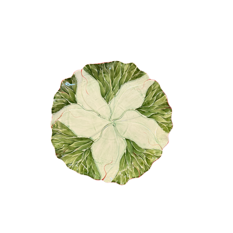 Dinner Plate Lettuce