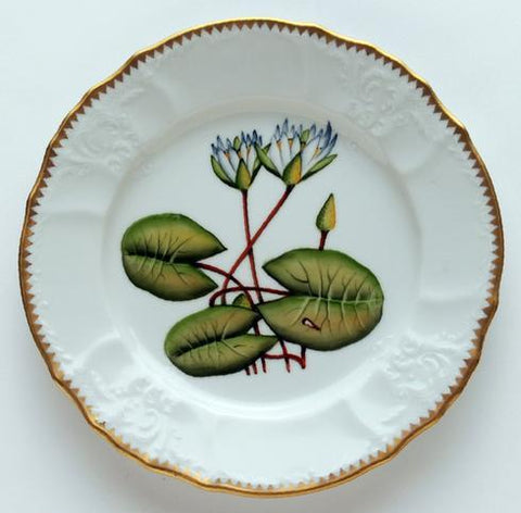 Seascape-Waterlily Salad Plate