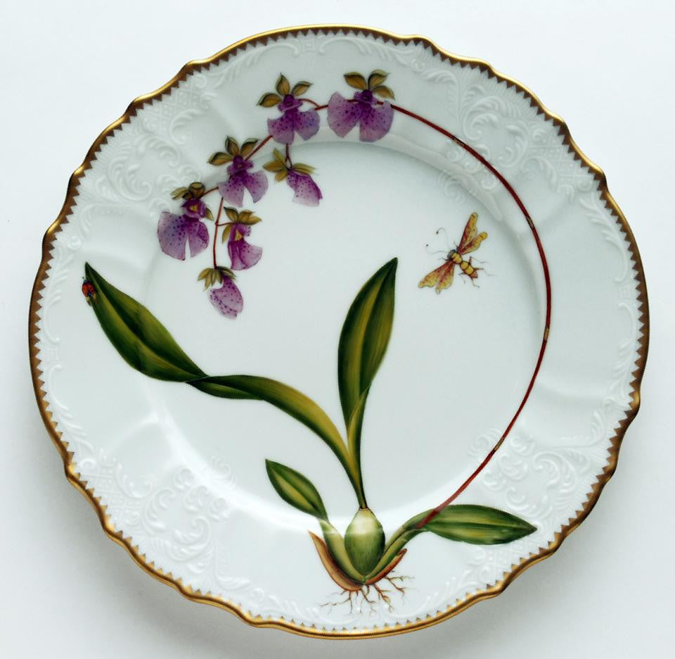 Orchid #6 Dinner Plate