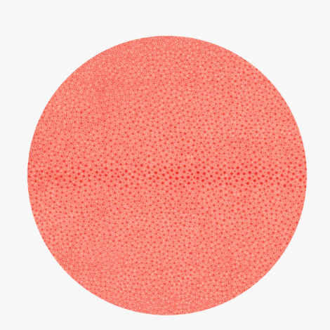 Shagreen Coral Round Placemat