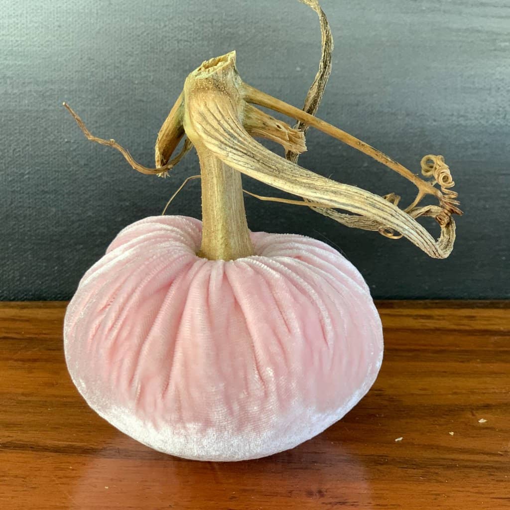 Pale Pink Pumpkin