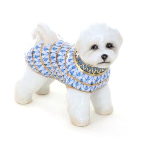 Bichon Frise Blue