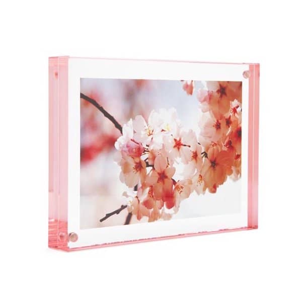 Pastel Rose Magnet Frame 4x6
