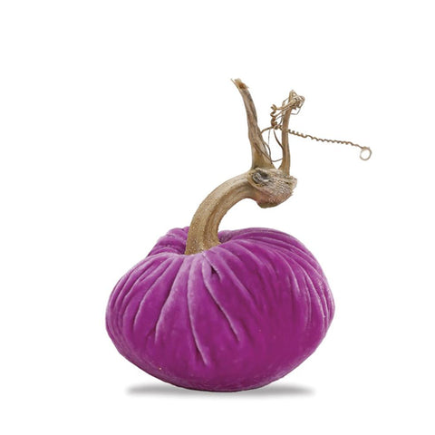 Pink Lilac Pumpkin